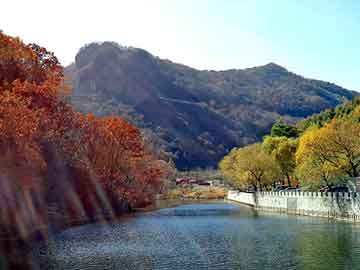 新澳天天开奖资料大全旅游团，医用输液天轨